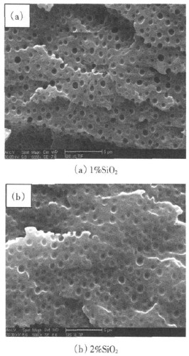 二氧化硅改性環氧樹脂膠黏劑性能（二）